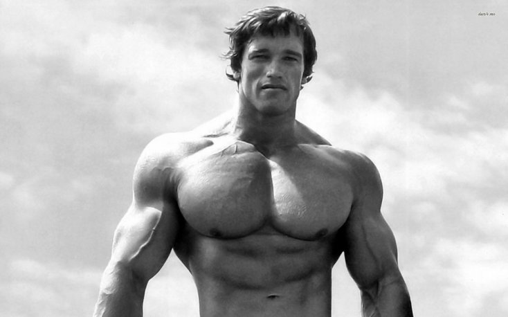 Arnold 1